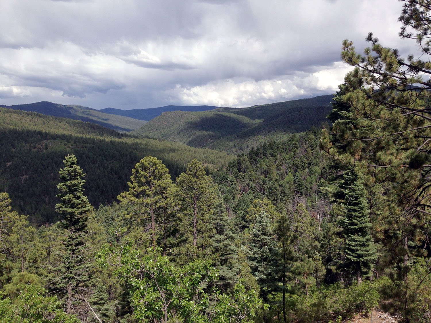 Mountains of Northern New Mexico Near Taos, NM -Image by David Travis